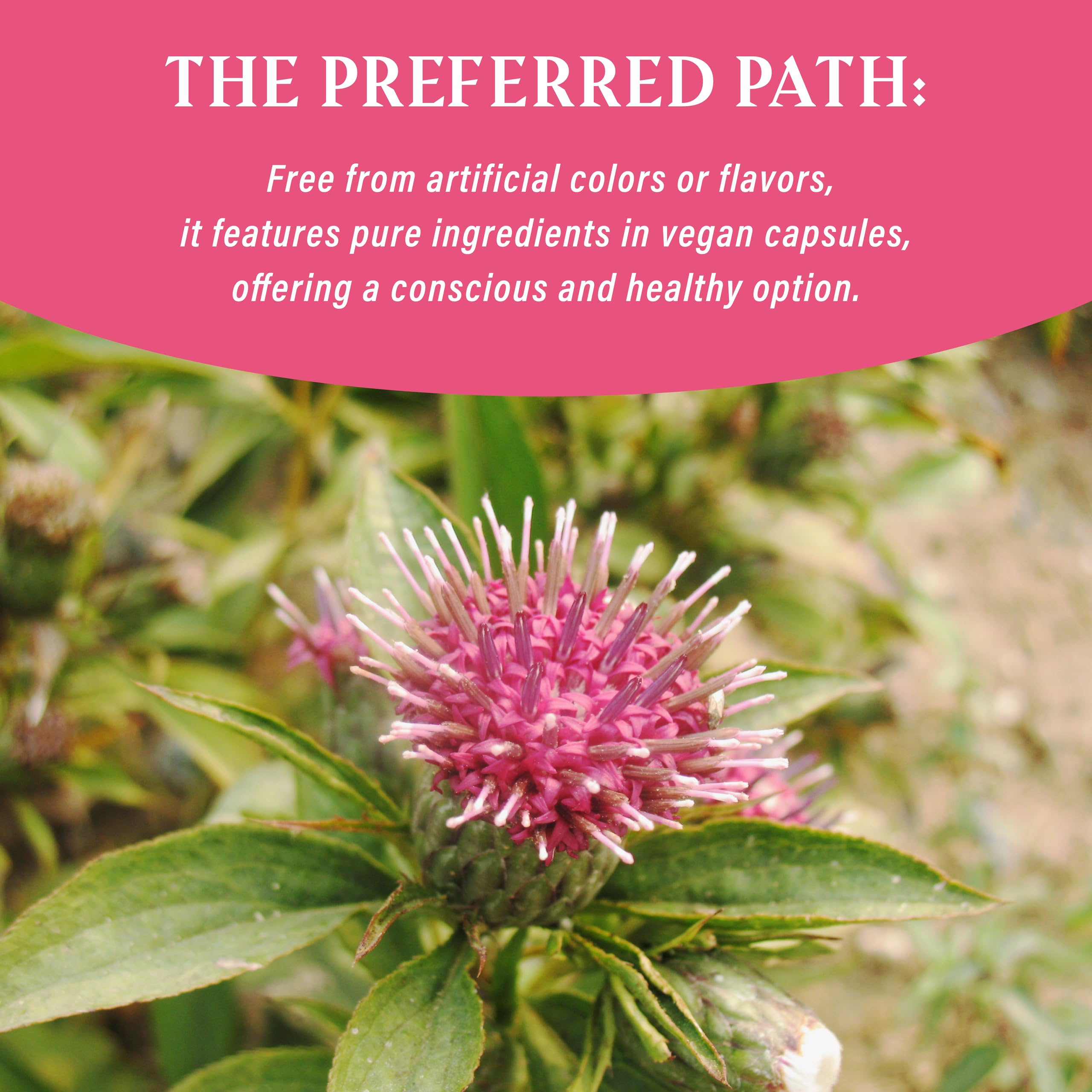 NUWONDER Women's probiotic - Natural Vaginal Support Supplement, Balanced & Confident NUWONDER buy australia supplements