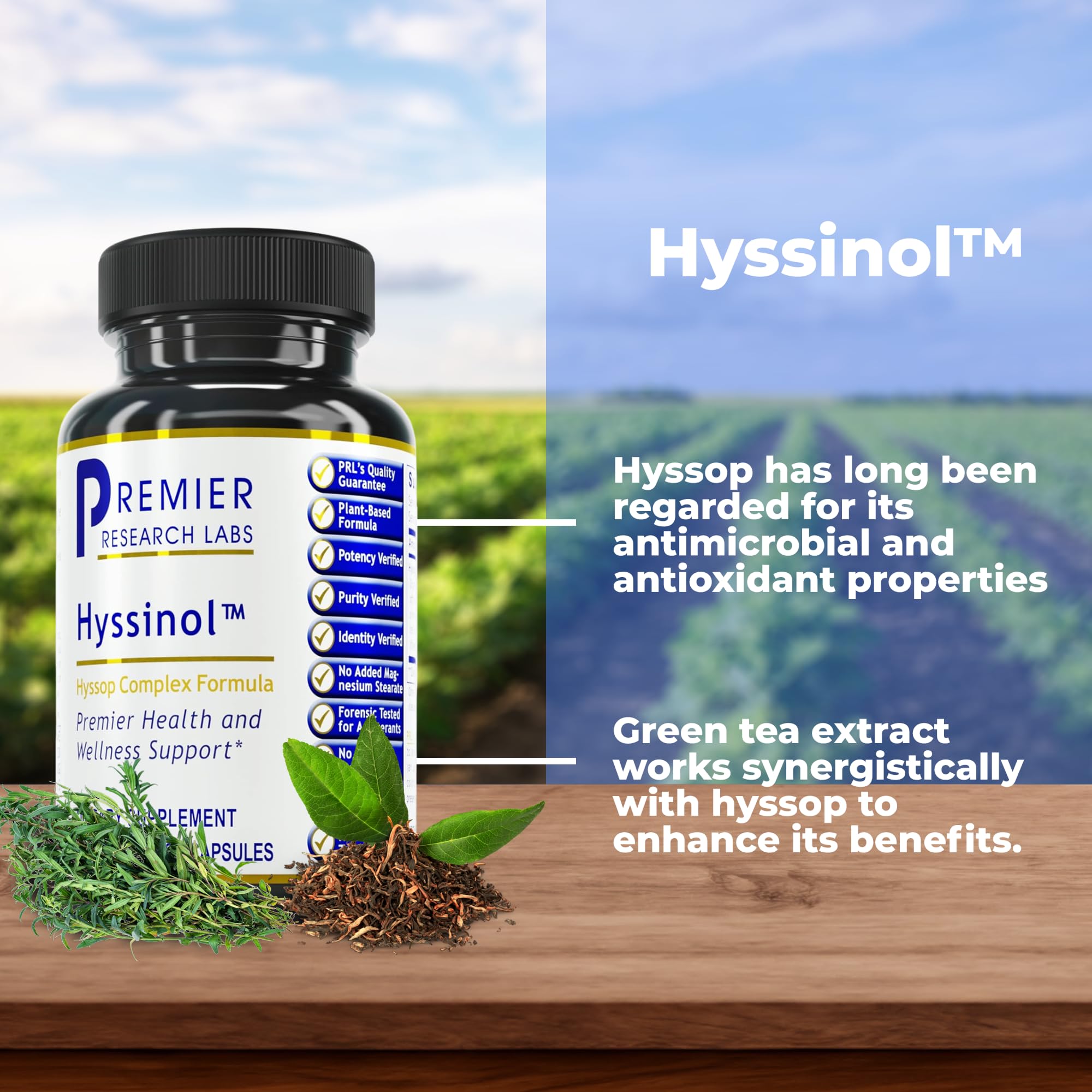 Premier Research Labs Hyssinol - Hyssop Herb, Hyssop Capsules, Wellness Pills with Organic Hyssop Dry Herb, Dietary Supplement with Green Tea, Antioxidant Support - 60 Vegetarian Capsules Premier Research Labs buy australia supplements