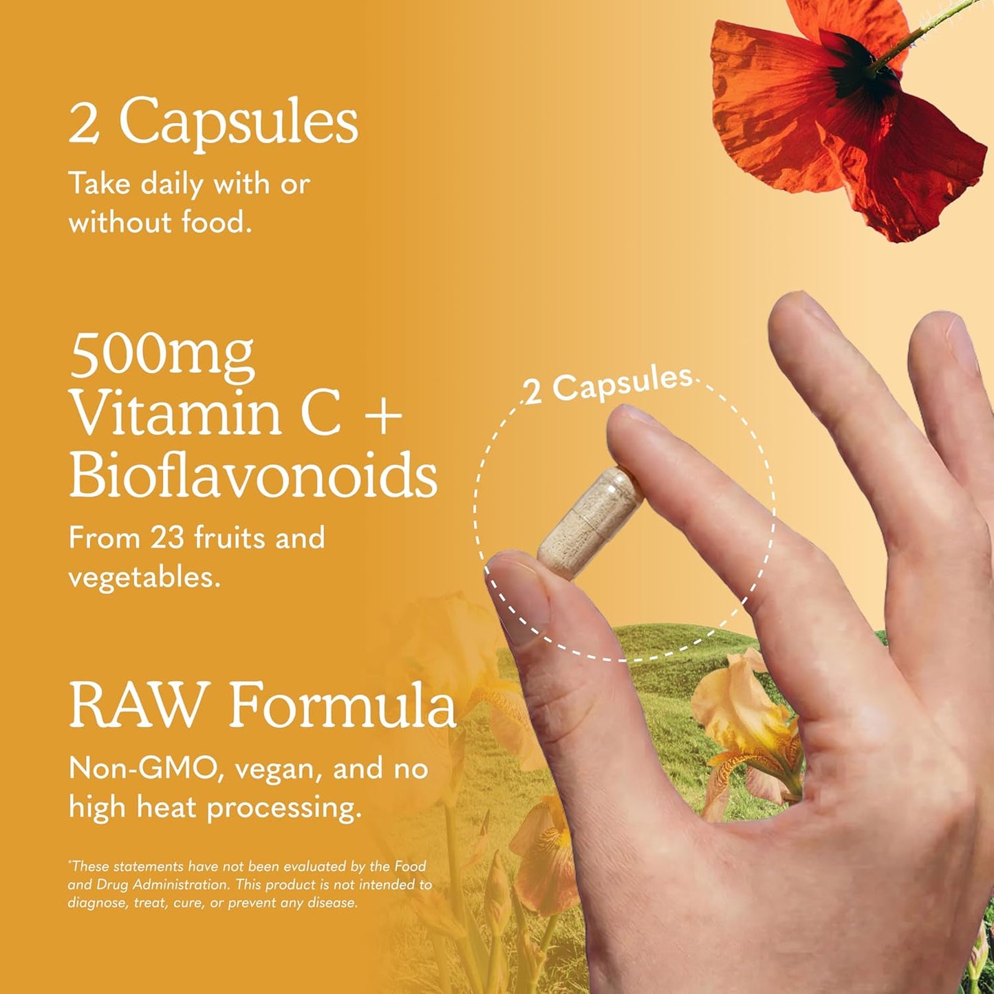 Garden of Life Vitamin Code Raw Vitamin C - 120 Capsules, 500mg Whole Food Vitamin C Capsules + Fruit & Veggie Blend & Probiotics, Supplements for Adults, Vegan, Gluten Free Gsupps Australia