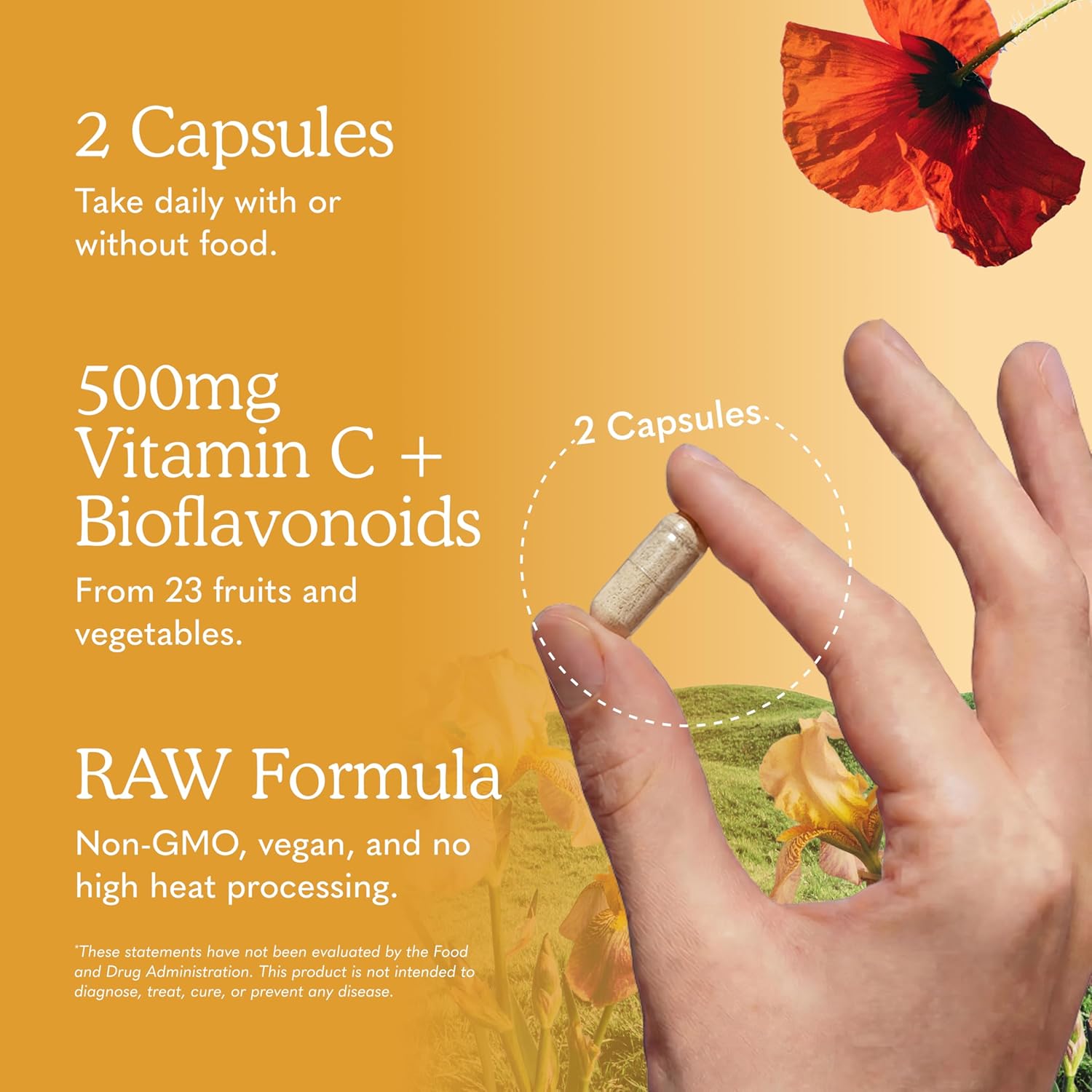 Garden of Life Vitamin Code Raw Vitamin C - 120 Capsules, 500mg Whole Food Vitamin C Capsules + Fruit & Veggie Blend & Probiotics, Supplements for Adults, Vegan, Gluten Free Gsupps Australia