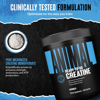 Animal Micronized Creatine Monohydrate Capsules - 300 Caps, 2500mg per Serving to Support Muscle Growth, Endurance, ATP Production, Cognitive Function, Strength Animal