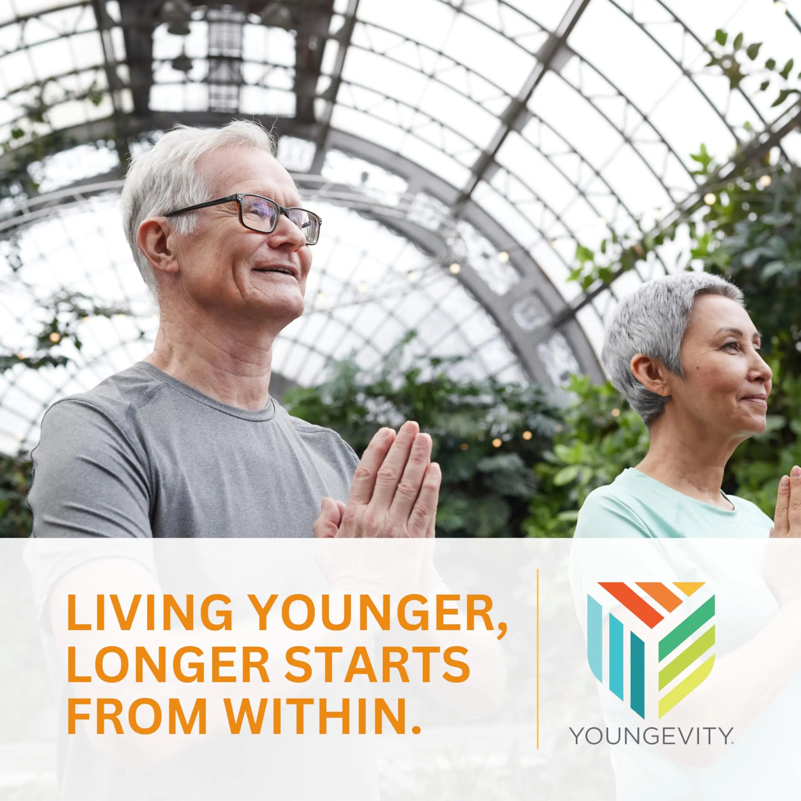 Youngevity Beyond Tangy Tangerine 2.0 Citrus Peach Ultimate Multi-Vitamin & Mineral Complex - Made with Natural & Whole Foods | 8,000 ORAC | 2 Canisters Youngevity buy australia supplements