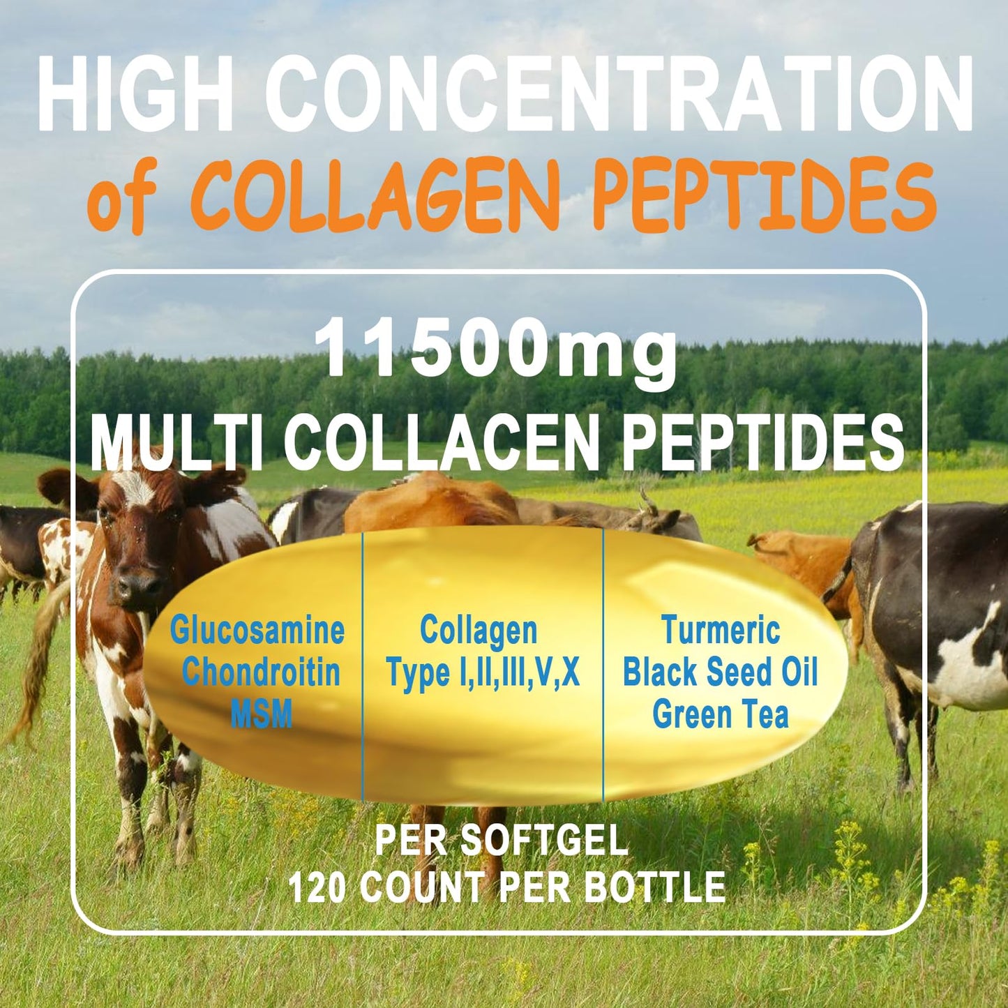 Collagen Peptides Softgels, Multi Collagen Peptide w/ Glucosamine Chondroitin MSM Biotin, Hydrolyzed Collagen Peptides Complex for Women Supports Skin Hair JINGYAT