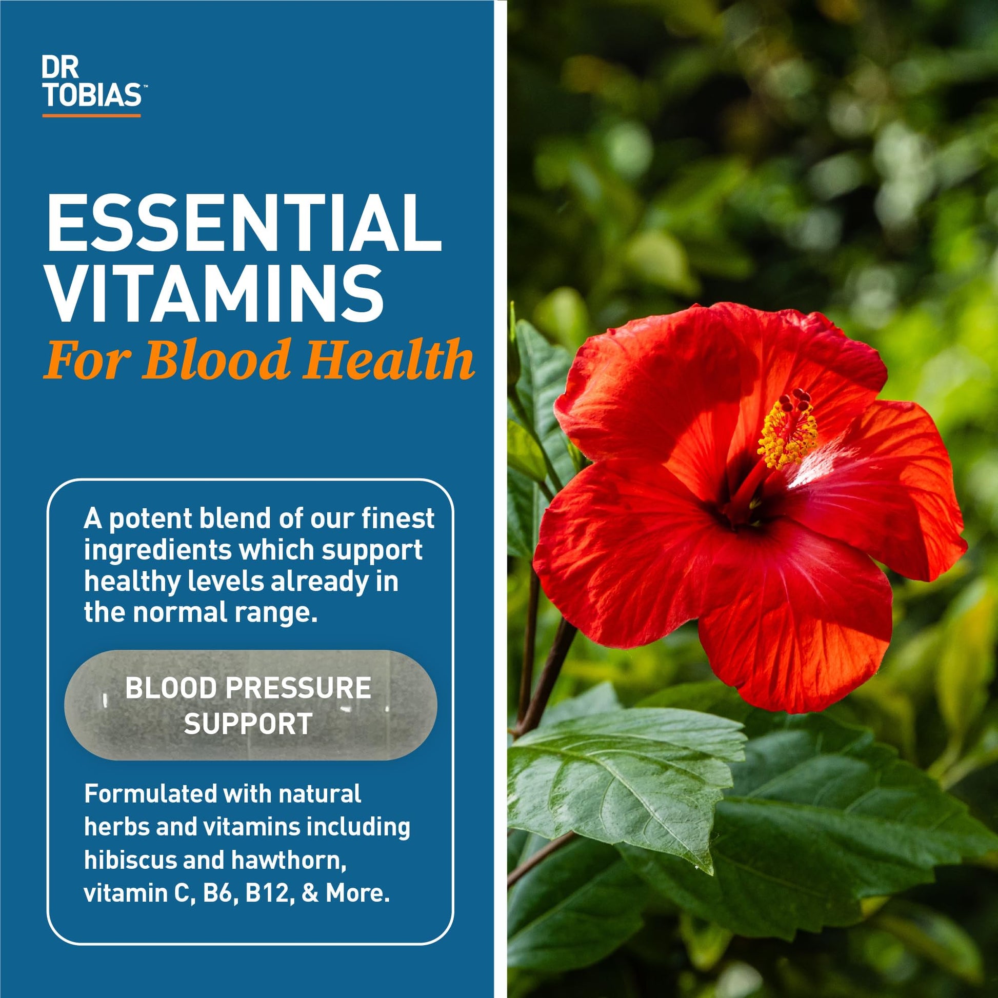 Dr. Tobias Blood Pressure Support Supplement with Hawthorn, Hibiscus Flower, Olive Leaf & Garlic, Supports Normal Circulatory Health with Vitamins C, B6, B12, Niacin, Folate & Herbs, 90 Capsules Dr. Tobias buy australia supplements