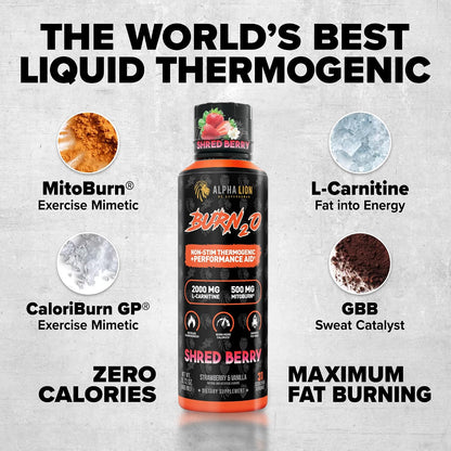 ALPHA LION Stubborn Fat Loss Stack – Superhuman Burn Pre Workout + Burn2O Liquid L-Carnitine 2000mg (Shredberry)– Thermogenic Fat Burner & Energy Supplement for Men and Women