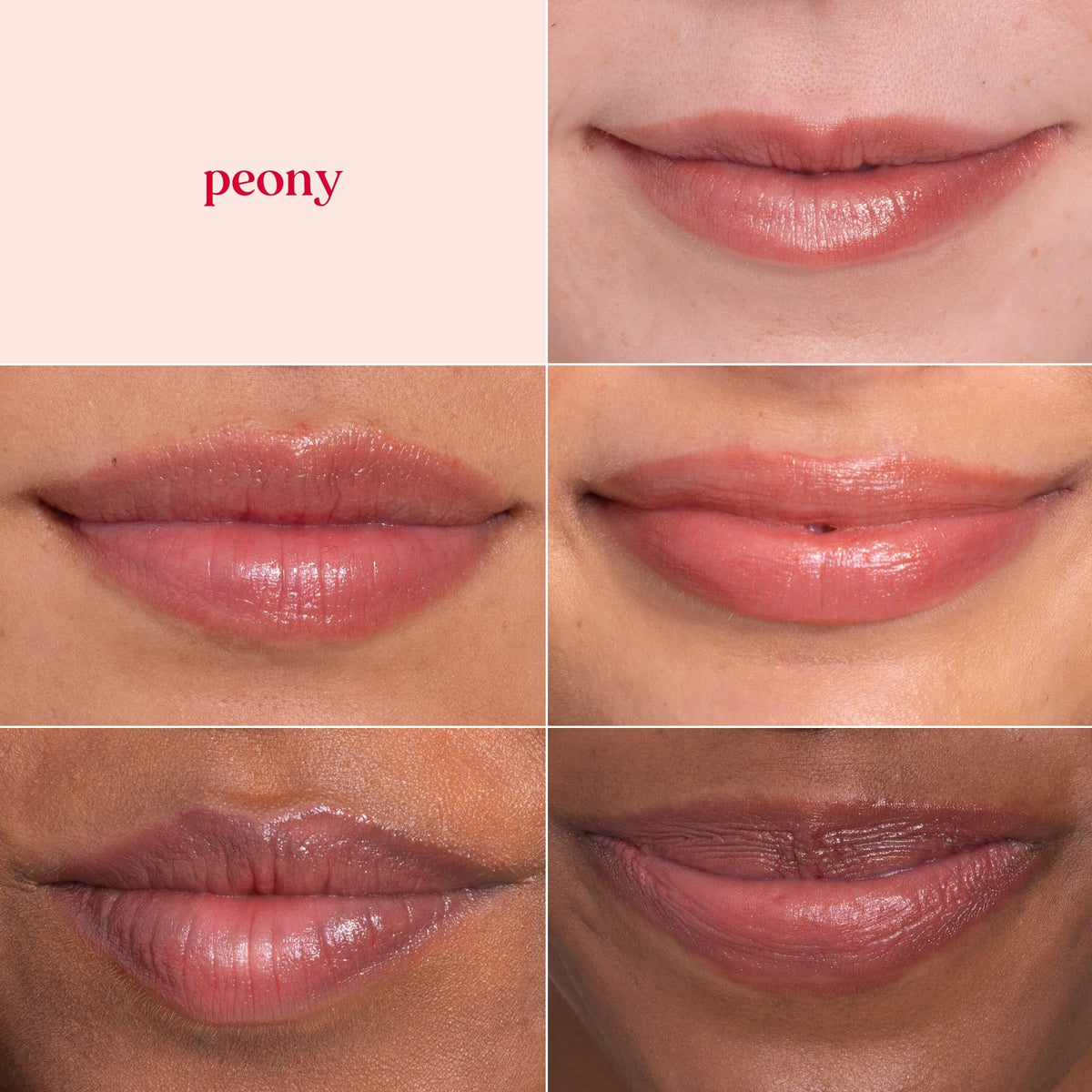 Burt's Bees Lip Shimmer Set, Peony, 0.09 oz., 4 Tubes Burt's Bees