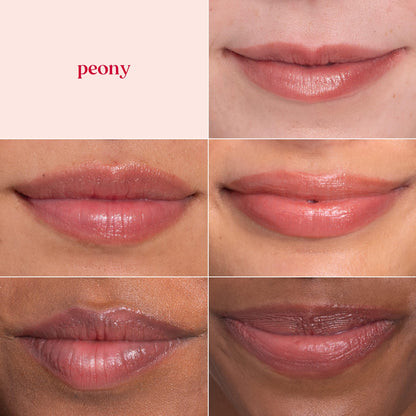 Burt's Bees Lip Shimmer Set, Peony, 0.09 oz., 4 Tubes Burt's Bees