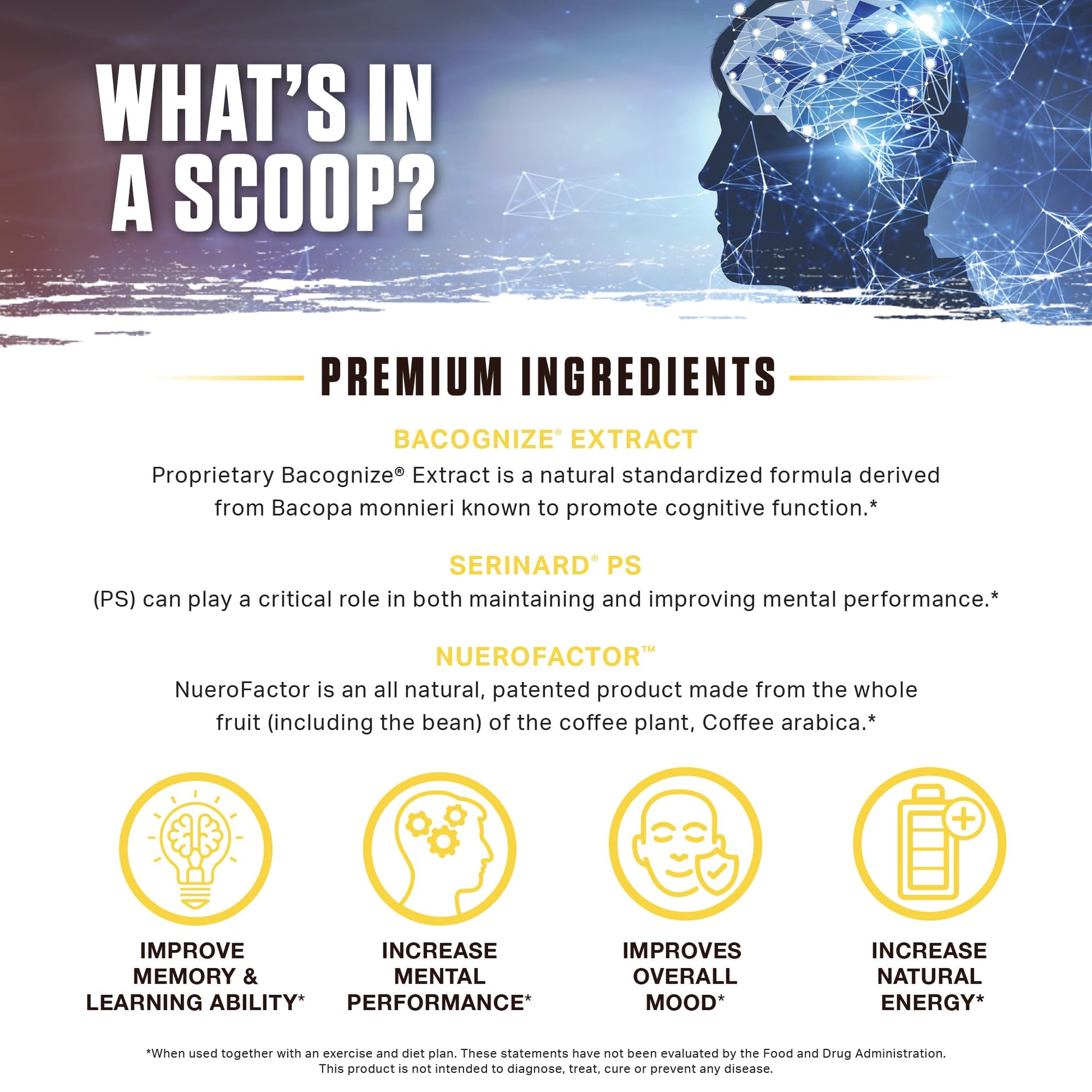 Ambrosia Mental Jewels Nootropic Brain Supplement Powder | Alpha GPC, Bacopa & Phosphatidylserine | Memory, Focus & Concentration Support | 30 Servings | Cherry Limeade Ambrosia buy australia supplements