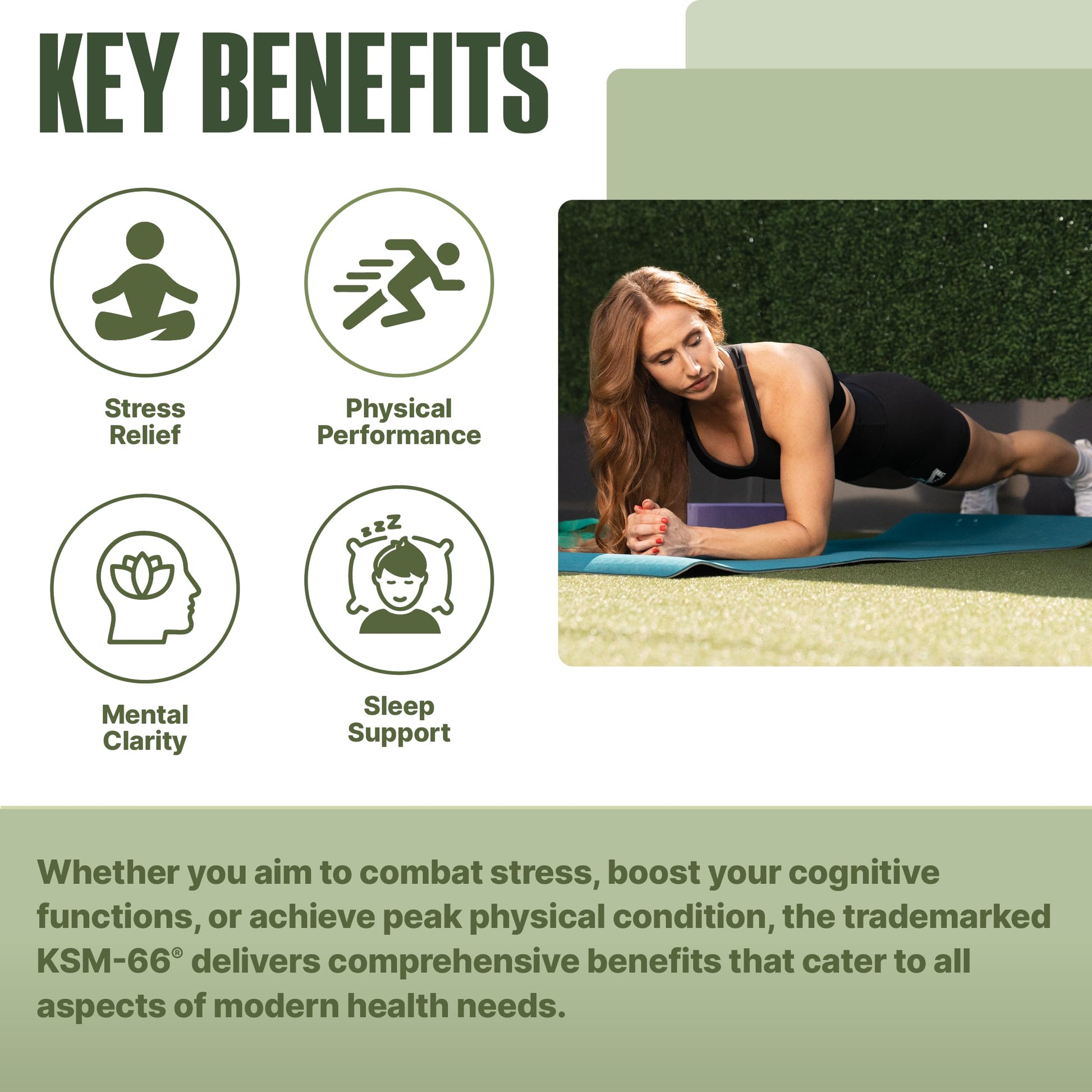 NutraBio Ashwagandha KSM-66 | Ashwagandha Herbal Supplement for Stress, Mood, & Performance | 600 MG of Clinically Studied KSM66 60 Capsules NutraBio buy australia supplements