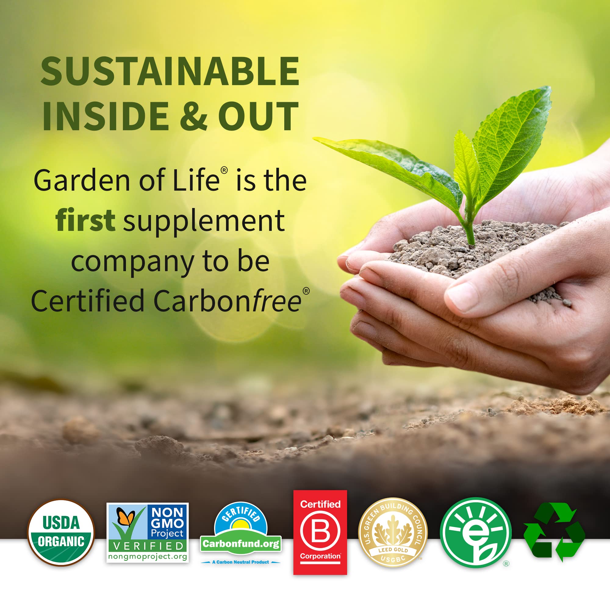 Garden Of Life, Powder Protein Greens Chocolate Organic, 22 Ounce Garden of Life buy australia supplements