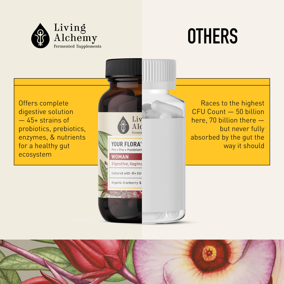 Living Alchemy Gut Health Supplements for Women - Your Flora Probiotics Women with Fermented Soybean, Cranberry Juice, Roselle, Prebiotics, Digestive Enzyme, & Probiotics - Vegan, Non-GMO, 60 Pcs Living Alchemy