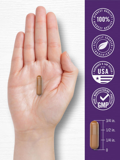 Carlyle Resveratrol Complex - 180 Capsules - Trans Resveratrol Supplement with Grape Seed Extract - Non GMO, Gluten Free Carlyle