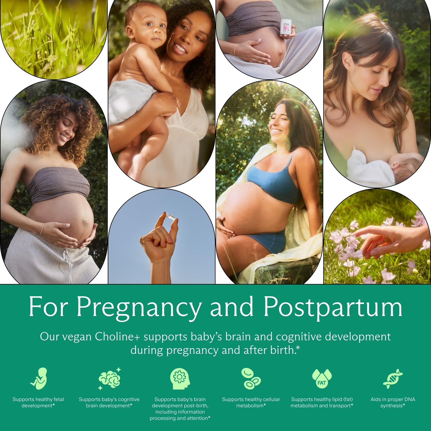 Needed. Prenatal Choline+ Liquid Capsules for Cognitive Development - Choline Supplements For Pregnancy - Aids Baby Brain Development & Supports Healthy Pregnancy Needed.