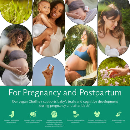 Needed. Prenatal Choline+ Liquid Capsules for Cognitive Development - Choline Supplements For Pregnancy - Aids Baby Brain Development & Supports Healthy Pregnancy Needed.