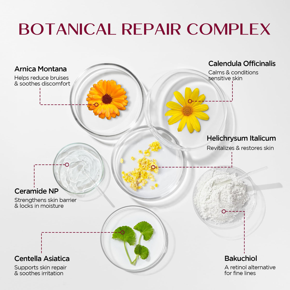 Vigority Helichrysum Balm Soothes & Repairs: Restorative Arnica Cream with Calendula for Fragile, Thin Skin & Bruise-Prone – Moisturizes, Revitalizes & Strengthens Skin Barrier for Adult Seniors 3.4oz Vigority