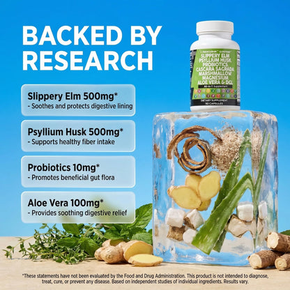 Clean Nutraceuticals Slippery Elm Psyllium Husk Pre Probiotic Digestive Gut Health Supplement with Aloe Vera Cascara Sagrada Clean Nutraceuticals