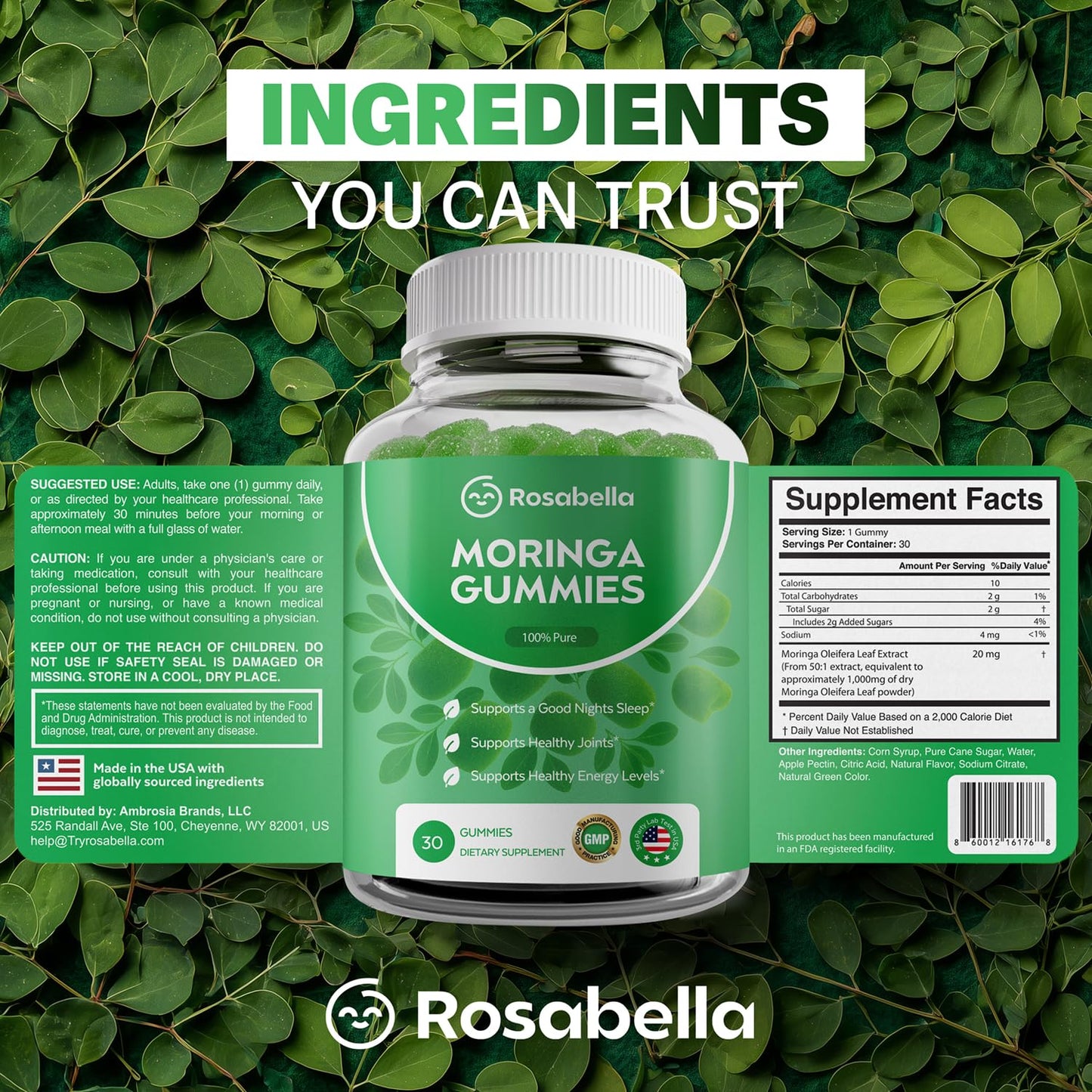 Rosabella Moringa Gummies – Moringa Leaf Extract 1000mg Equivalent Per Serving – Natural Energy & Balance – Non-GMO, Gluten-Free Superfood Rosabella