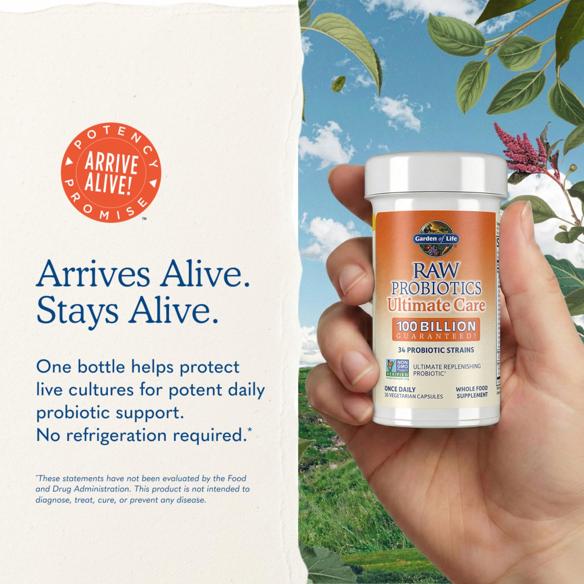 Garden of Life Raw Probiotics Ultimate Care - 100 Billion CFU - Dietary Supplement for Gut Health Support - for Women & Men - 30 Vegetarian Capsules Gsupps Australia
