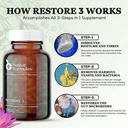 Native Formulas Restore 3 Proteolytic Enzyme & Spore Probiotic Blend Supplement - 60 Capsules - Advanced Biofilm Disruption Aid Native Formulas