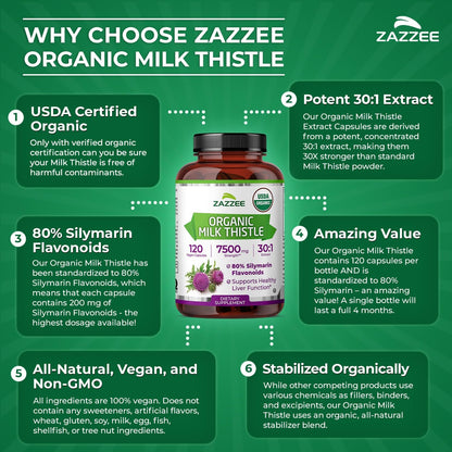 Zazzee USDA Organic Milk Thistle 30:1 Extract, 80% Silymarin, 120 Capsules | Vegan, 4 Month Supply, Certified Kosher, High Potency Liver & Antioxidant Support, Silybum Marianum, Non-GMO, Made in the USA Gsupps Australia