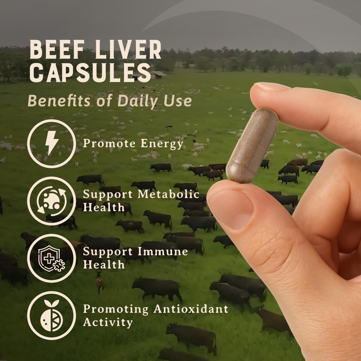 HEART & SOIL – 100% Grass Fed & Finished Beef Organs from Regenerative Cattle with Liver, Heart, Kidney, Pancreas & Spleen – 3000mg Beef Organ Supplement for Women & Men – Glass Bottle – 180 Capsules