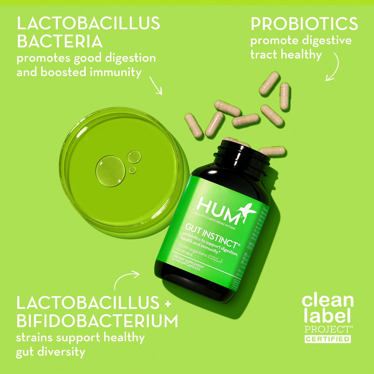 HUM Gut Instinct Daily Probiotics for Women and Men, Digestive Health, Lactobacillus, Bifidobacterium Strains for Immune Support, Probiotic Supplement for Healthy Gut Diversity, 30 Capsules