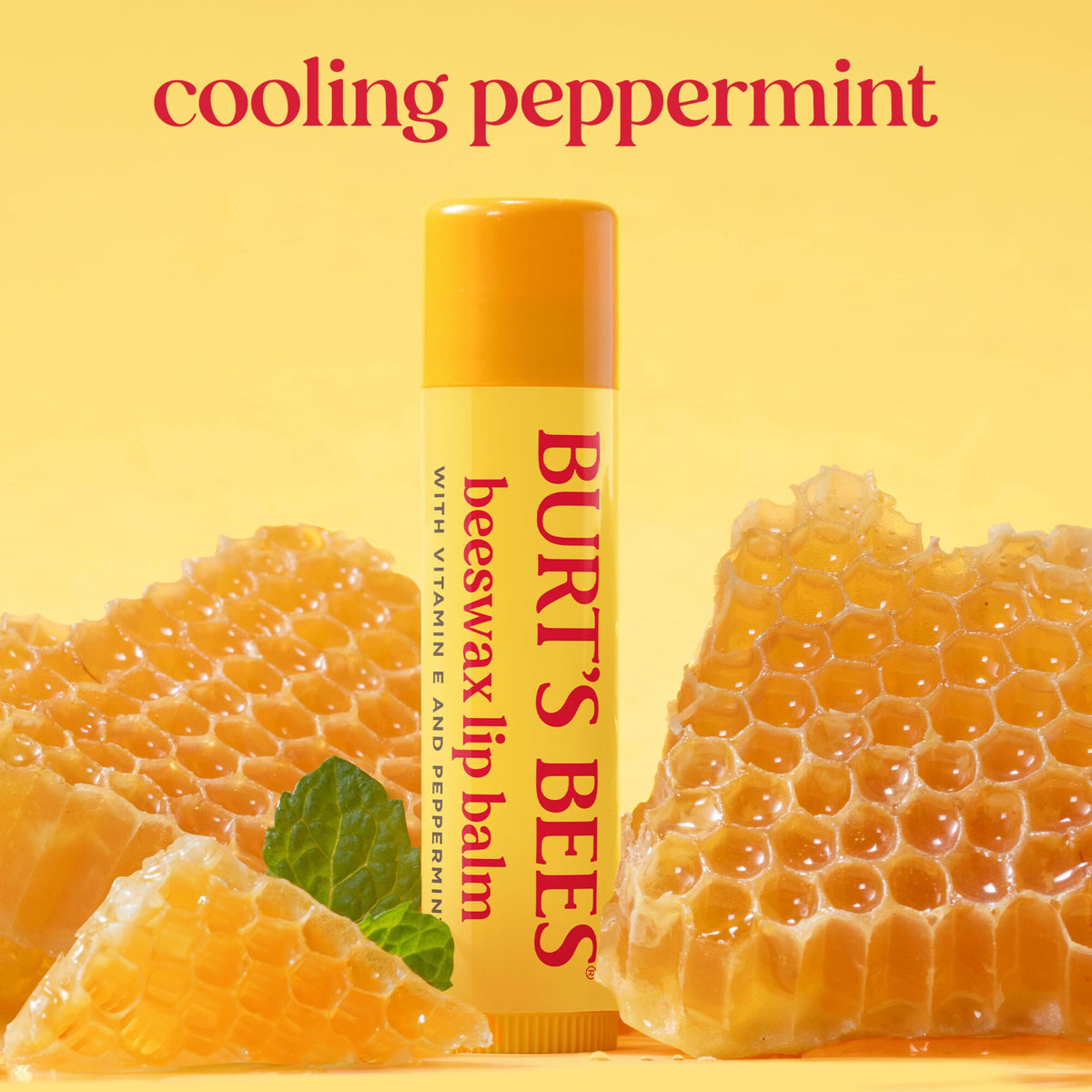 Burt's Bees Lip Balm, Original Beeswax, 0.15 oz., 2 Tubes Burt's Bees