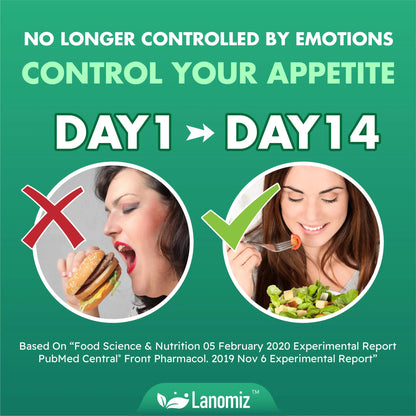Lanomiz 14DAY Appetite & Craving Control Gut Health Complex Featuring Delayed-Release Probiotics & White Kidney Bean Extract 5-HTP Lanomiz