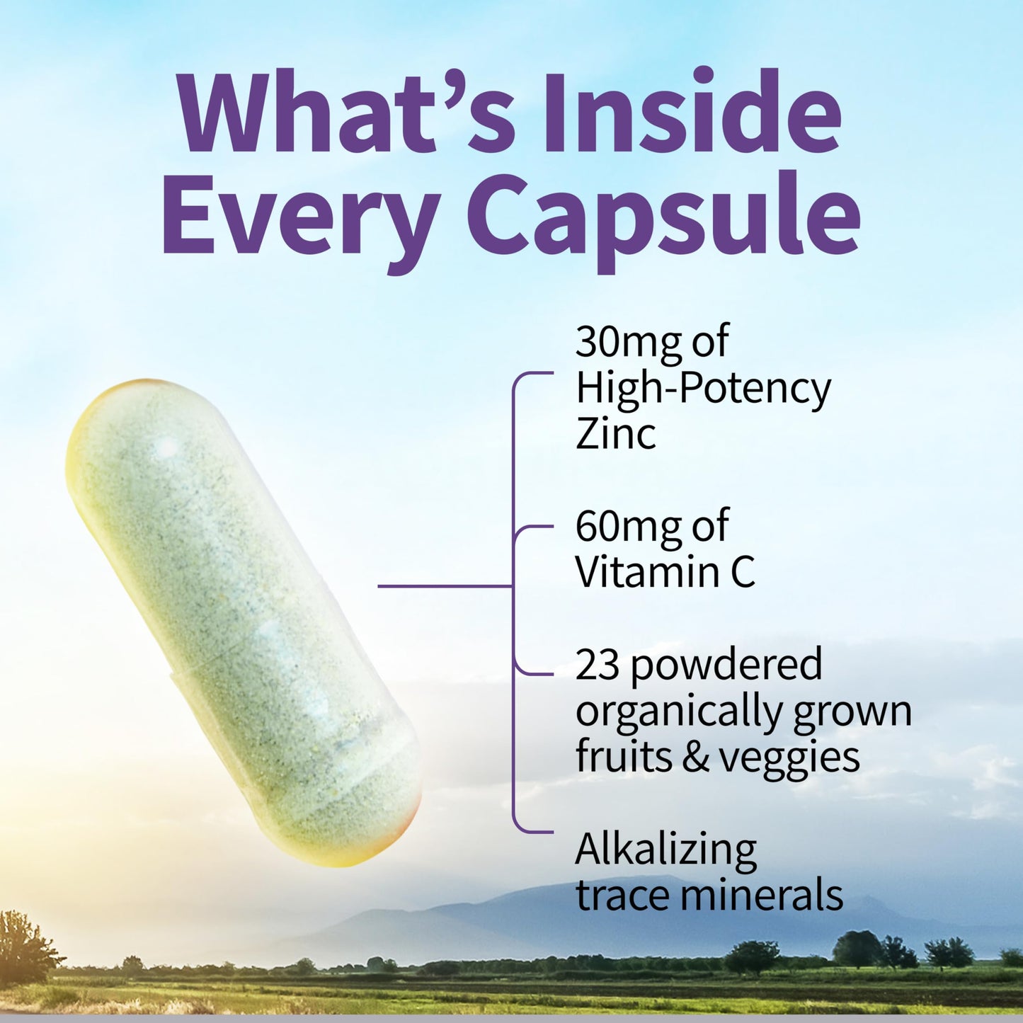 Garden of Life Zinc Supplements 30mg High Potency Raw Zinc and Vitamin C Multimineral Supplement, Vitamin Code Vitamins Trace Minerals & Probiotics Garden of Life