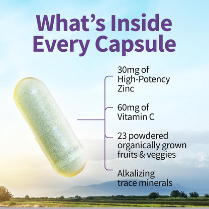 Garden of Life Zinc Supplements 30mg High Potency Raw Zinc and Vitamin C Multimineral Supplement, Vitamin Code Vitamins Trace Minerals & Probiotics Garden of Life