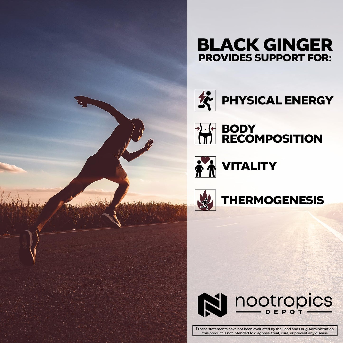 Nootropics Depot Black Ginger Extract Capsules | 10% 5,7-dimethoxyflavone | 60 Count