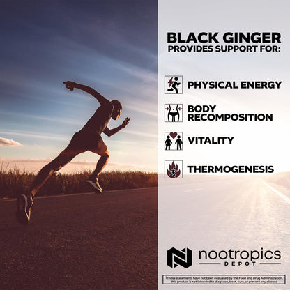 Nootropics Depot Black Ginger Extract Capsules | 10% 5,7-dimethoxyflavone | 60 Count