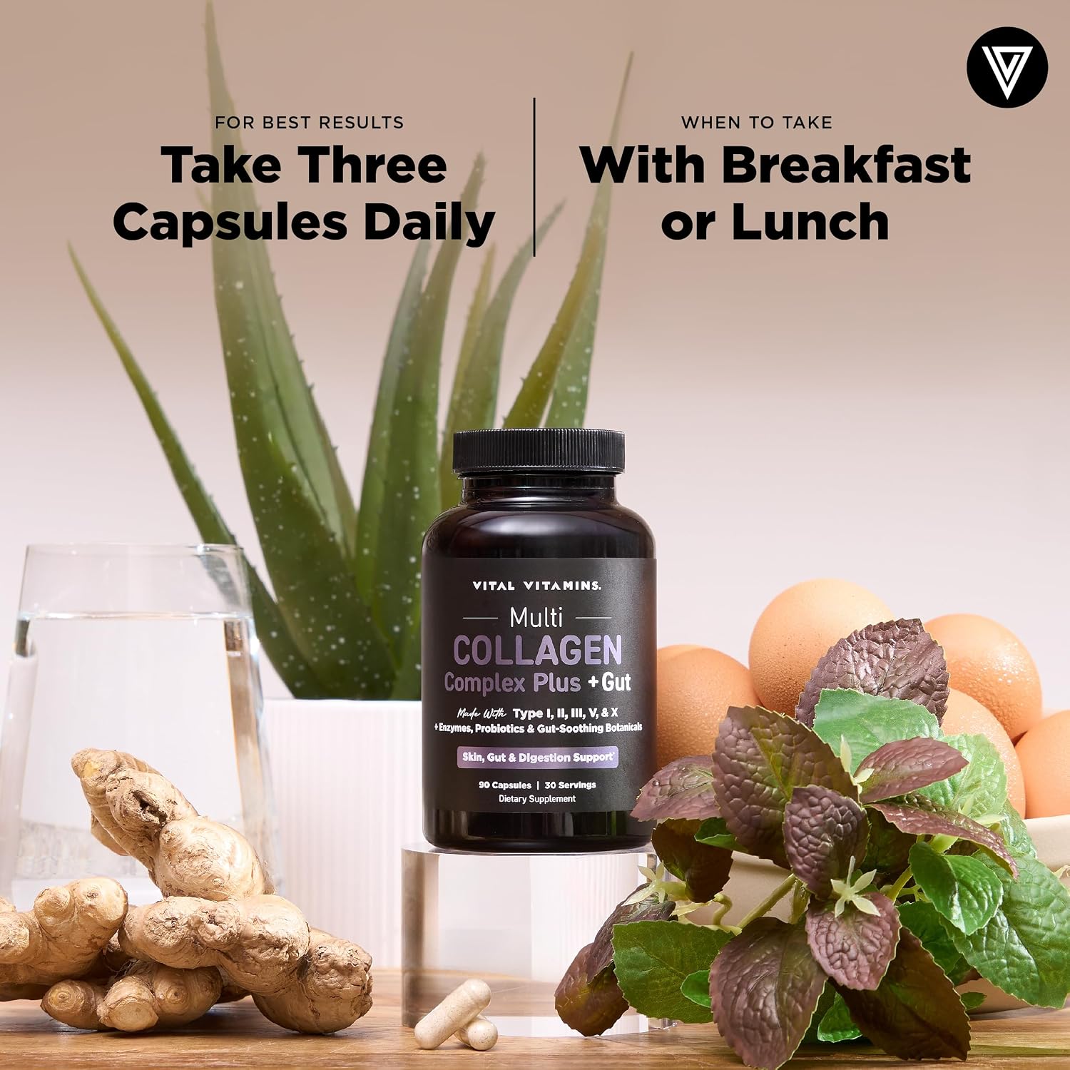 Vital Vitamins Multi Collagen Complex Plus + Gut, Probiotics & Enzymes | 5 Collagen Types I, II, III, V & X with Digestive Enzyme Blend, 3 Billion CFU Probiotic & Gut Botanicals, 90 Capsules Gsupps Australia