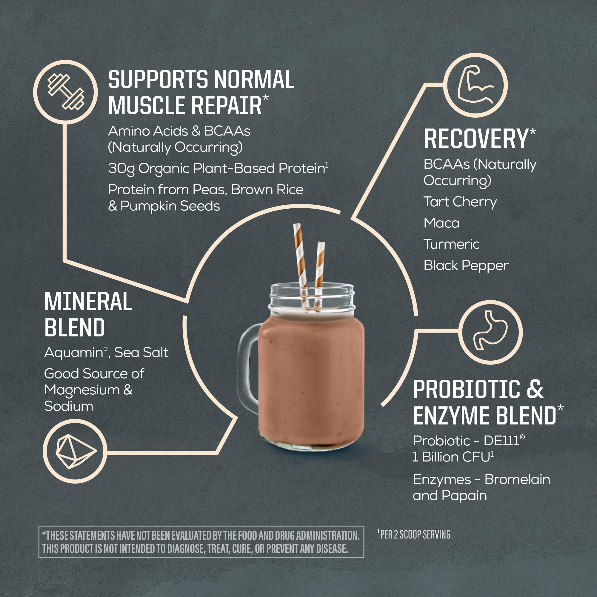 Sunwarrior Organic Plant Based Protein Powder | Vegan Organic Protein Powder with BCAA Amino Acids Plus Recovery Minerals & Botanicals | Non-GMO Soy Dairy & Gluten Free Sunwarrior buy australia supplements