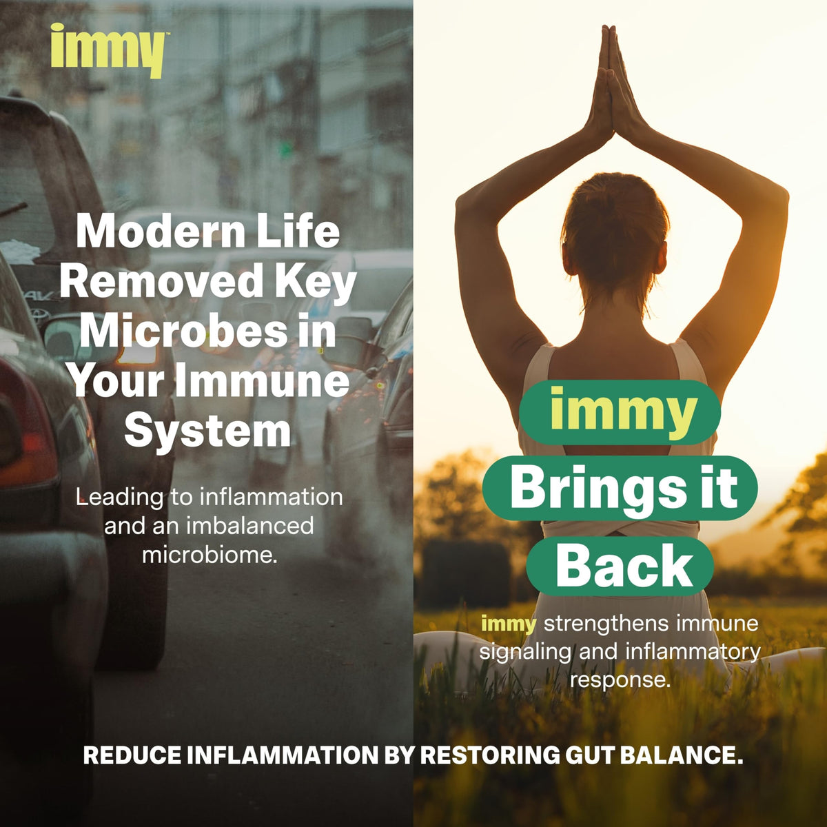 IMMY Doctor-Developed Inflammation Support - 90 Capsules - Supports Healthy Inflammatory Response & Immune Resilience IMMY