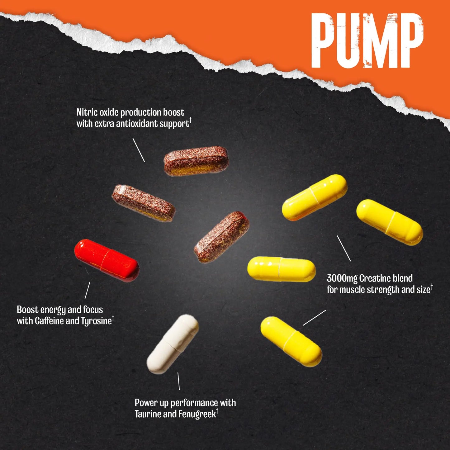 Animal Pump Pre-Workout Supplement – for Energy, Focus and Muscle Volumizing, with Nitric Oxide Boosters Including Stims and Nootropics, Creatine, Animal