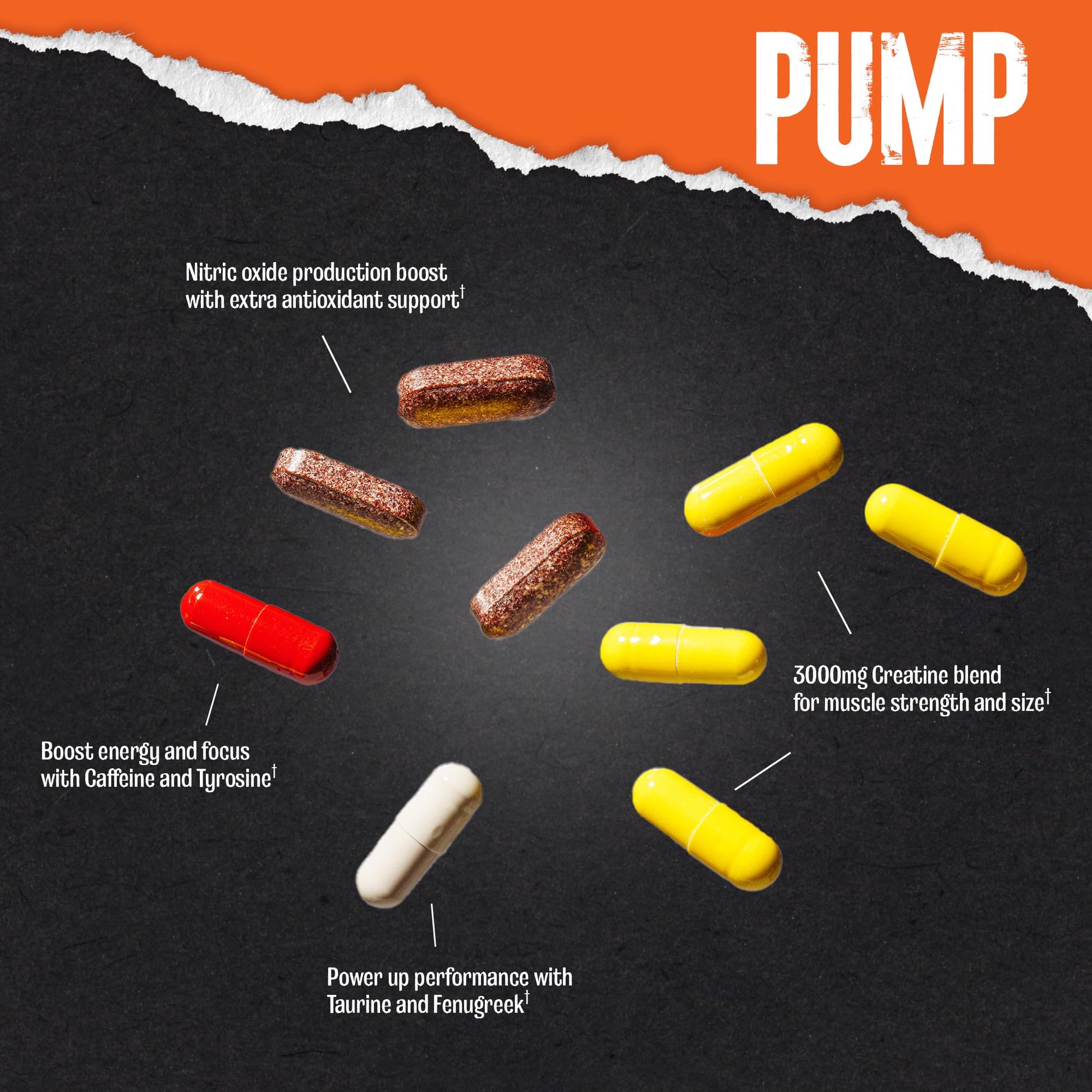 Animal Pump Pre-Workout Supplement – for Energy, Focus and Muscle Volumizing, with Nitric Oxide Boosters Including Stims and Nootropics, Creatine, Animal buy australia supplements