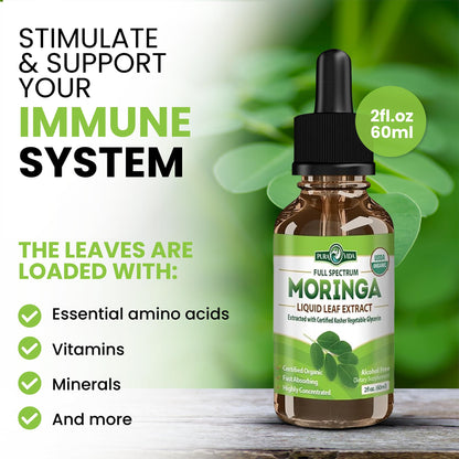 PURA VIDA MORINGA Leaf Extract Liquid Drops - USDA Organic Certified - Highly Purified, Bioavailable & Faster Absorption than Moringa Powder or Capsules PURA VIDA MORINGA