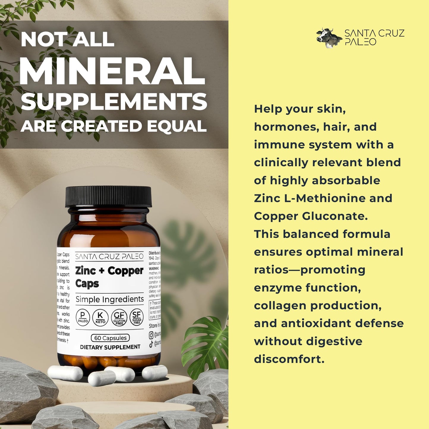 Santa Cruz Paleo, Zinc & Copper Mineral Supplement, High Absorption Formula, Zinc Supplement for Skin & Hair, L Methionine, Copper Gluconate, Trace Minerals Santa Cruz Paleo