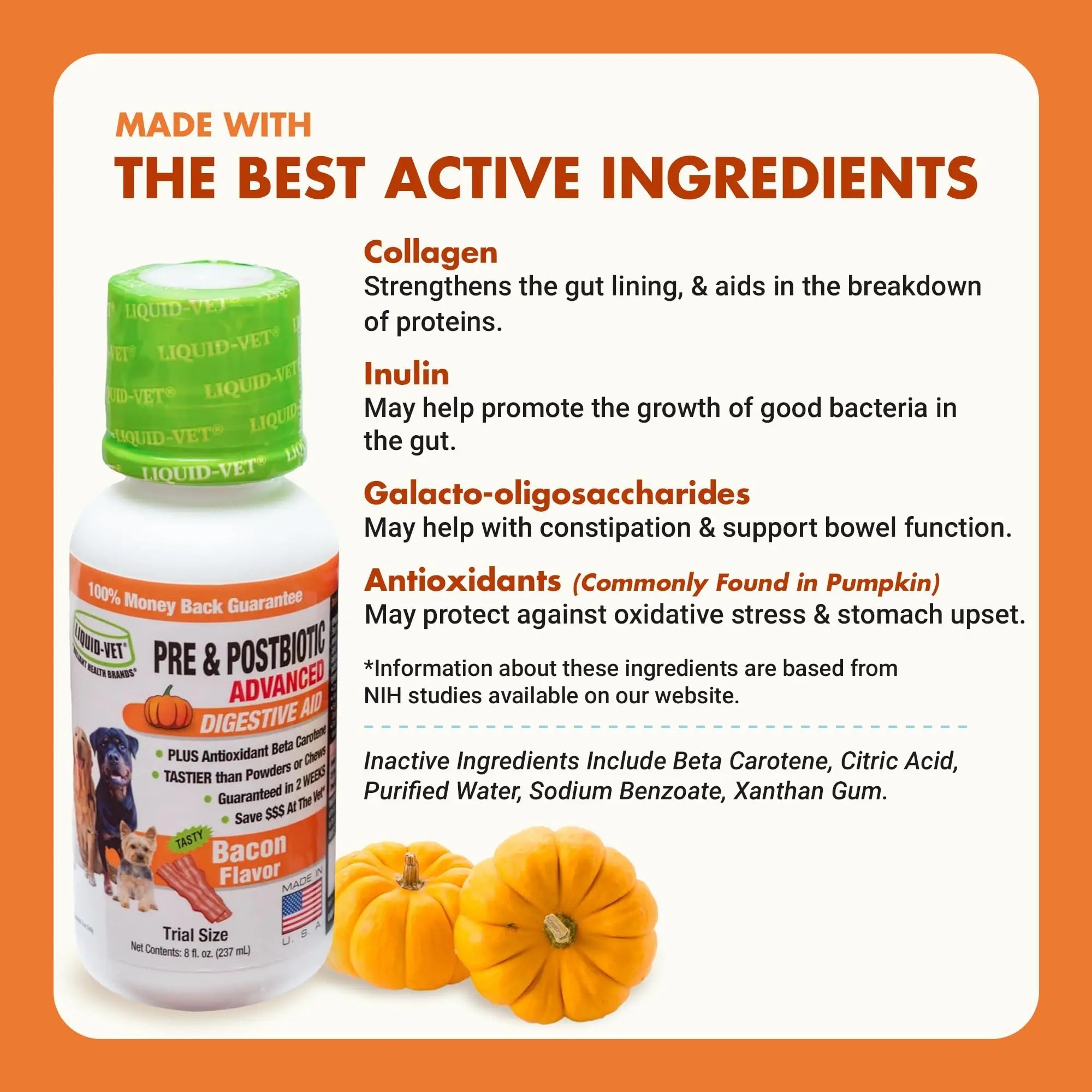Pre & PostBiotic Support for Dogs – Digestive Upset, Stool Quality & Sensitive Stomach Support – Easy Liquid Formula for Picky Eaters LIQUID-VET buy australia supplements