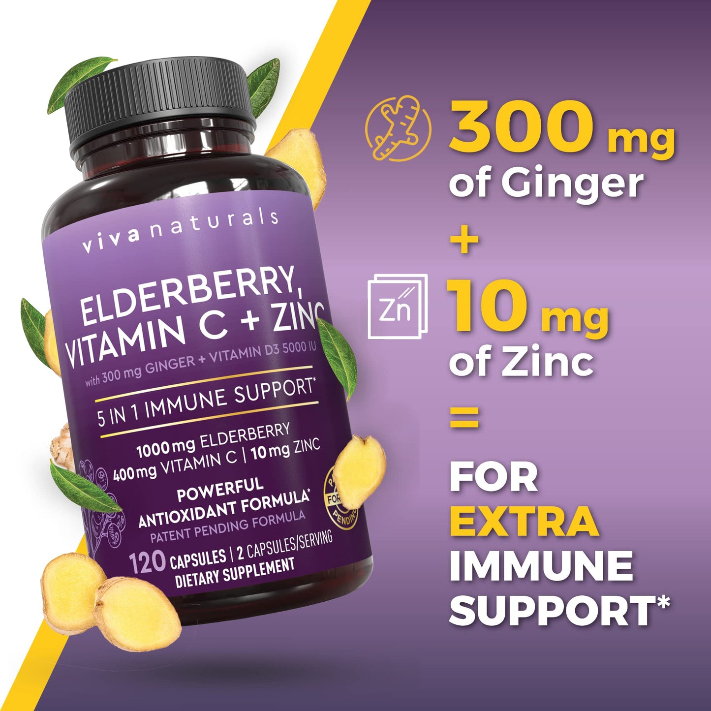 Viva Naturals Elderberry with Vitamin C and Zinc for Adults - 5 in 1 Sambucus Black Elderberry Capsules with Vitamin D3 5000 IU Immunity Supplement Viva Naturals