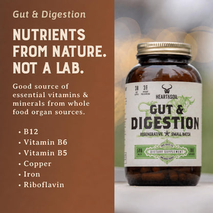 HEART & SOIL 100% Grass Fed & Finished Colostrum Supplement from Regenerative Cattle for Gut, Muscle & Immune Health – 3000mg Bovine Colostrum Capsules - Gut Health for Men & Women –180 Capsules