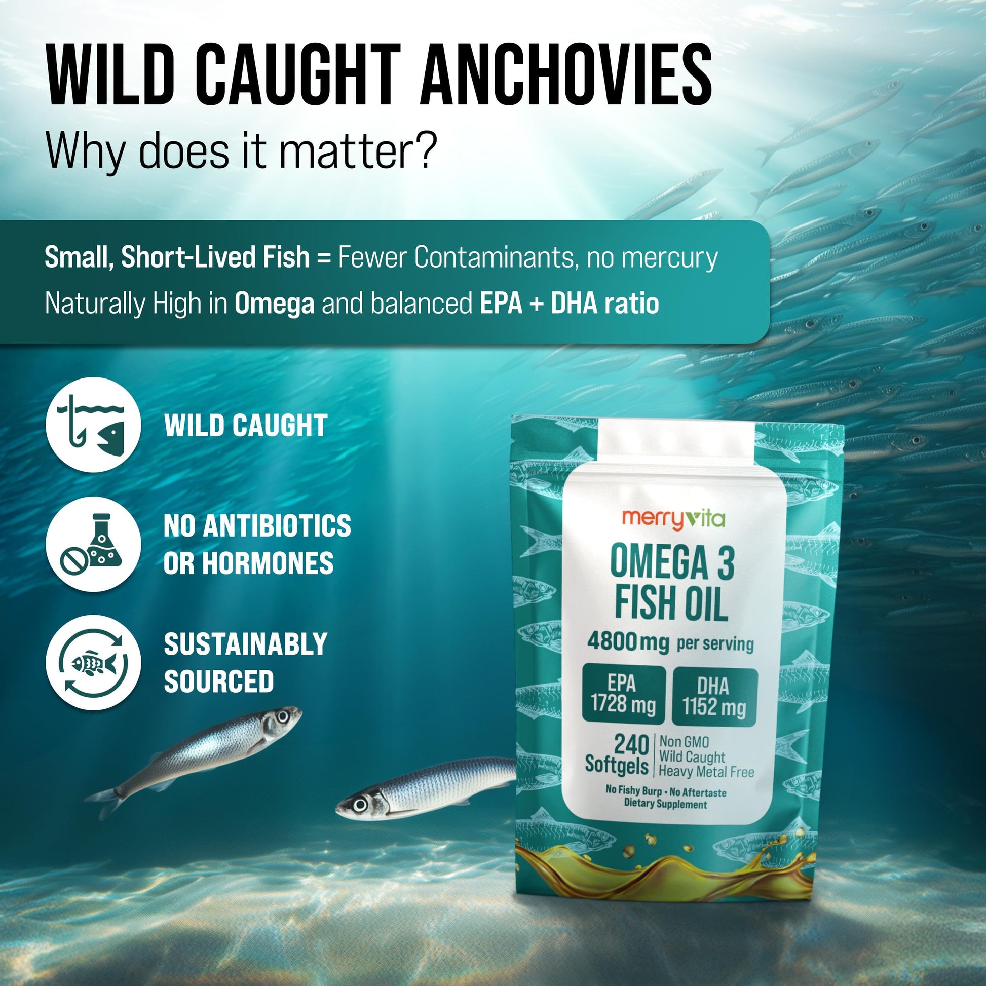 Omega 3 Fish Oil 4800 mg – EPA 1728 mg | DHA 1152 mg from Wild-Caught Anchovies – Burpless Mini Softgels – Pure Omega-3 Fatty Acid Supplement – Non-GMO, Gluten-Free, No Aftertaste – 240 Capsules MERRY VITA buy australia supplements