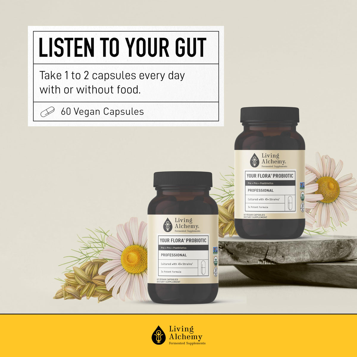 Living Alchemy Gut Health Supplements for Men & Women - Your Flora Probiotic Professional Digestion Supplement with Fermented Soybean, Prebiotics, Living Alchemy