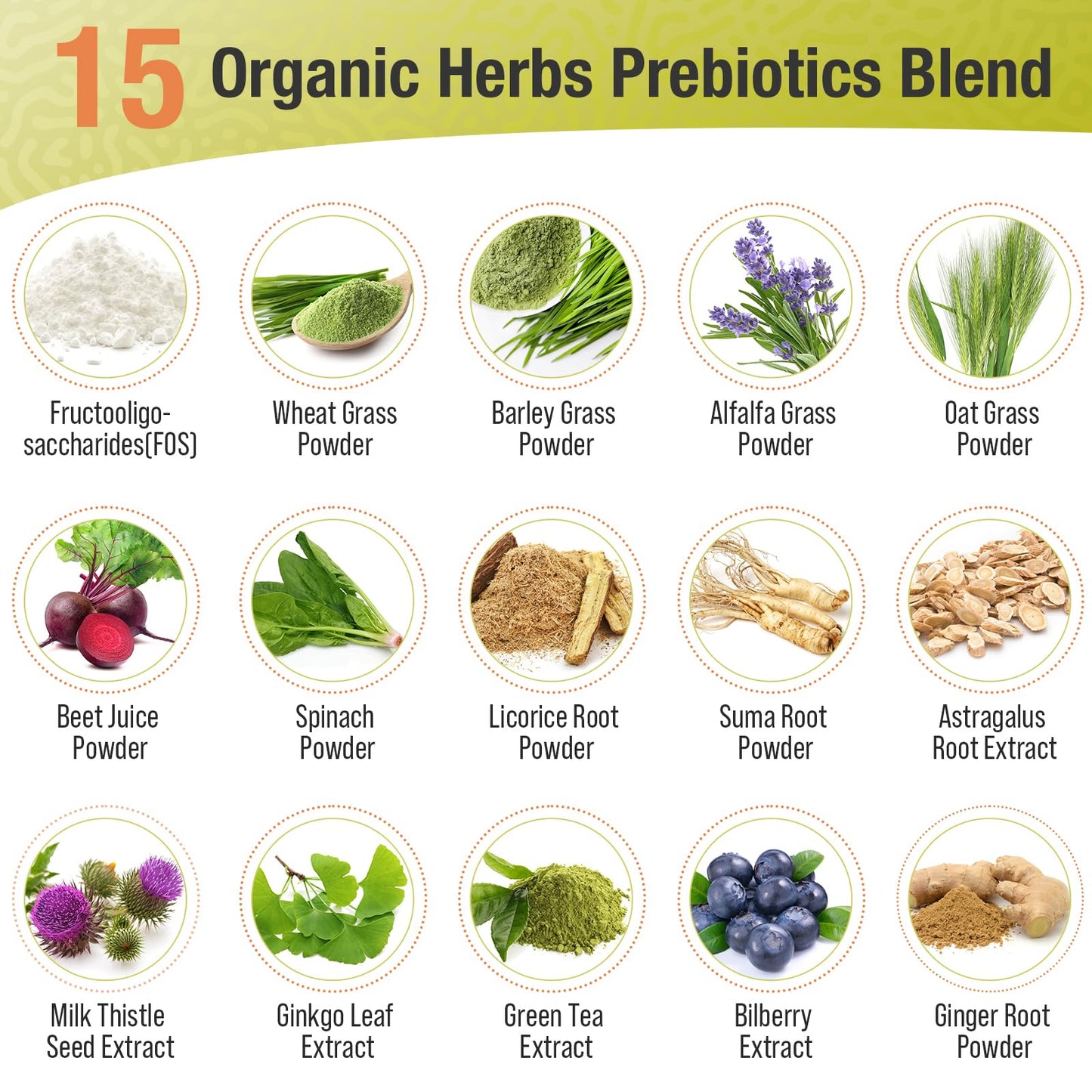 Probiotics for Women & Men - 300 Billion CFU, 24 Strains + 15 Organic Herbs Prebiotics Blend, Daily Probiotic for Digestive Health, Immune, Gut, Bloating Ascuoli