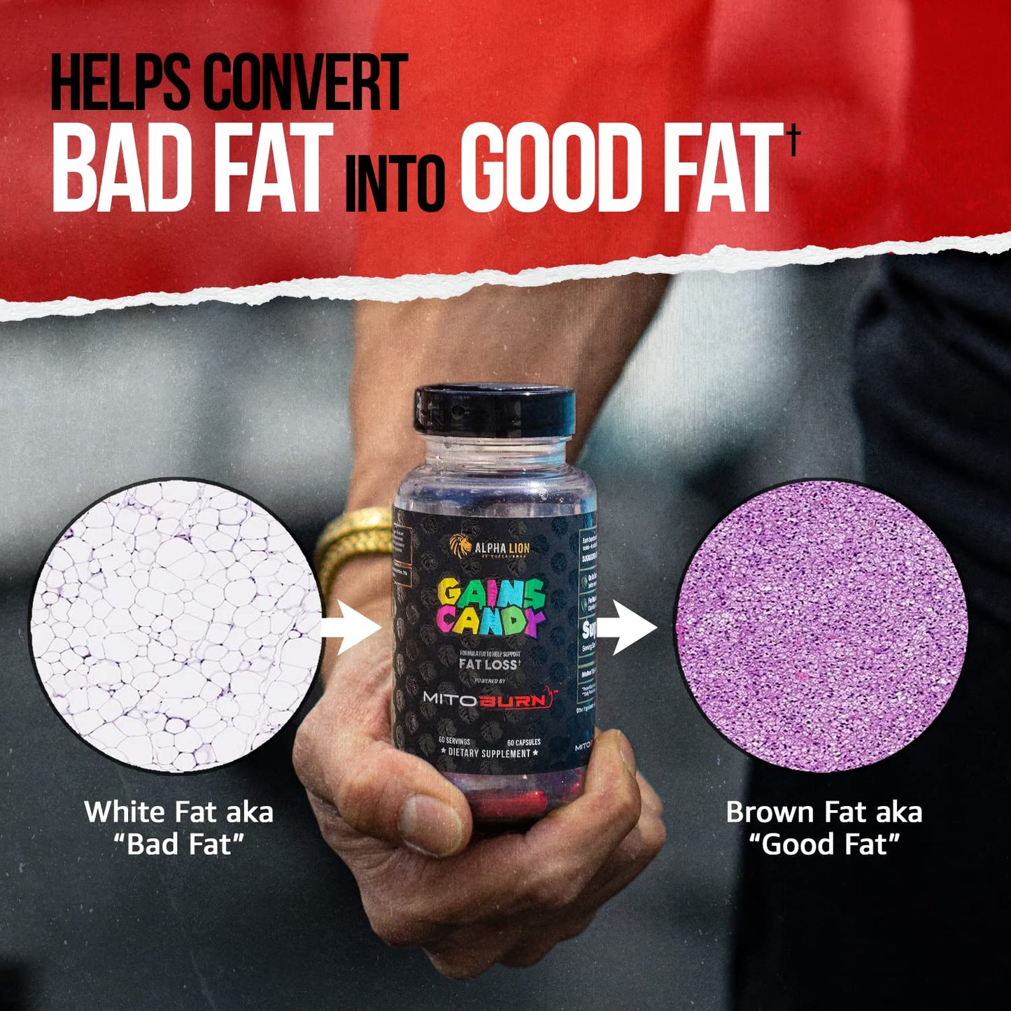 ALPHA LION Gains Candy, Pills that Support Weight Loss, Energy Supplements, 100% Natural Extract, Calorie Burning, Regulates Healthy Metabolism, 60 Capsules (Fat Loss - CaloriBurn®)