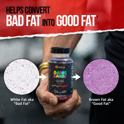 ALPHA LION Gains Candy, Pills that Support Weight Loss, Energy Supplements, 100% Natural Extract, Calorie Burning, Regulates Healthy Metabolism, 60 Capsules (Fat Loss - CaloriBurn®)