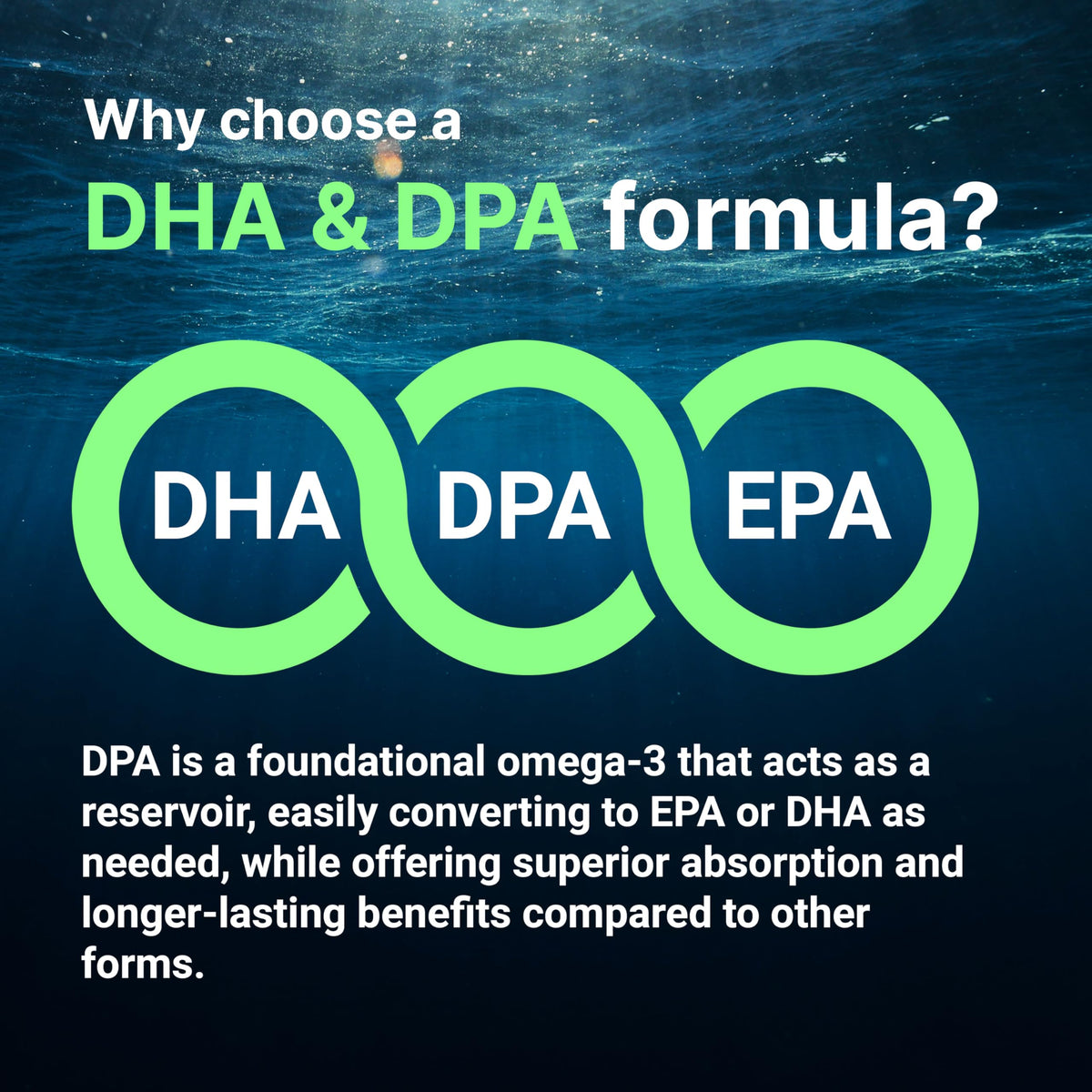 Micro Ingredients Vegan Omega 3 Algae Oil, 240 Veggie Softgels | Fish Oil Alternative | DHA 500mg & DPA 100mg | Carrageenan Free | Plant-Based Omega 3 Micro Ingredients