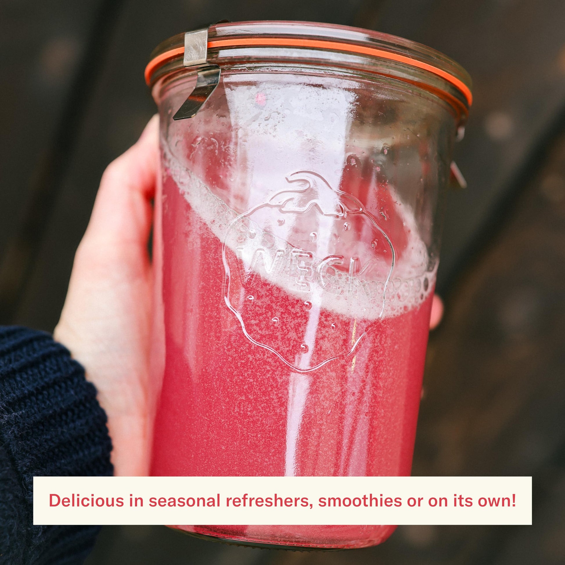 Ballerina Farm Farmer Hydrate, Daily Electrolytes Powder, Raspberry Lemonade, Hydration Drink Mix with Organic Coconut Water, Irish Sea Moss, Sea Salt, Prebiotic Fiber, No Added Sugar, 25 Servings Ballerina Farm buy australia supplements