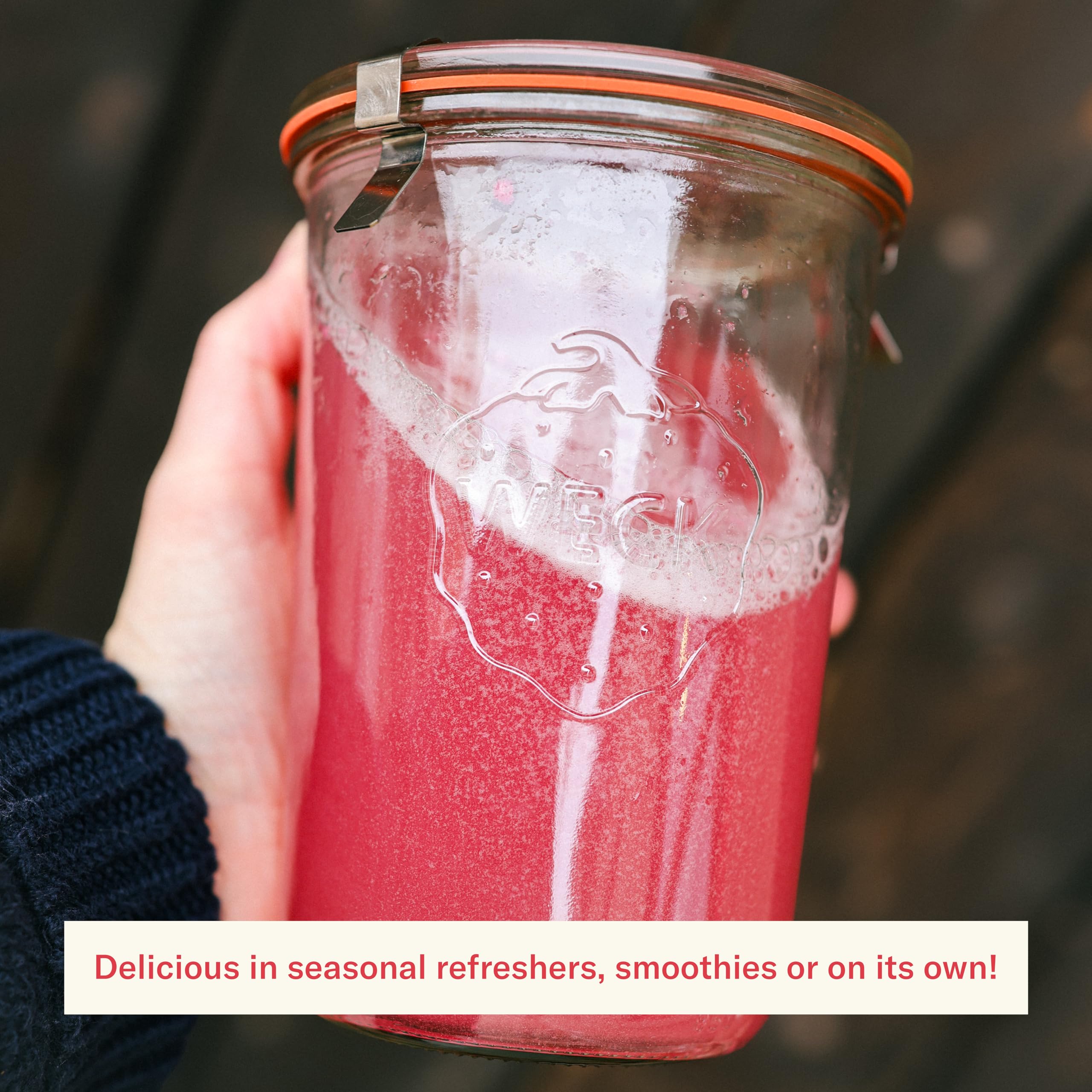 Ballerina Farm Farmer Hydrate, Daily Electrolytes Powder, Raspberry Lemonade, Hydration Drink Mix with Organic Coconut Water, Irish Sea Moss, Sea Salt, Prebiotic Fiber, No Added Sugar, 25 Servings Ballerina Farm buy australia supplements
